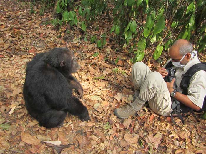 guatam shah wildlife conservation